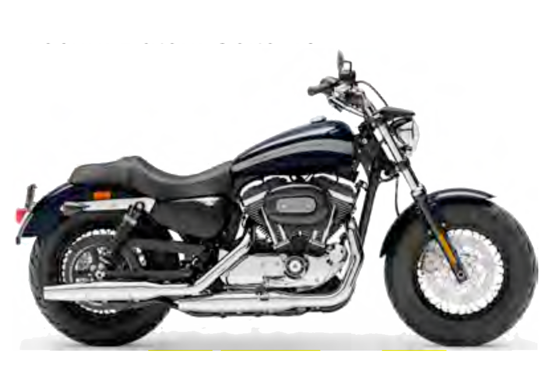 Harley Davidson Softail Slim Motochecker